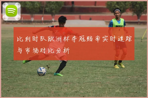 比利时队欧洲杯夺冠赔率实时追踪与市场对比分析